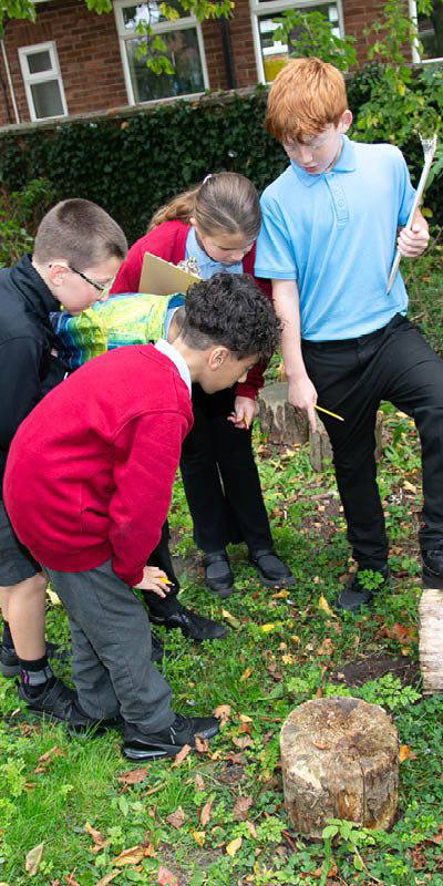 Teacher training